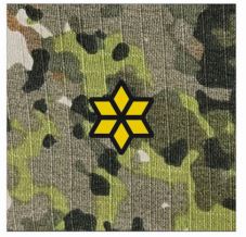 IR ROT TLNT NFP Green